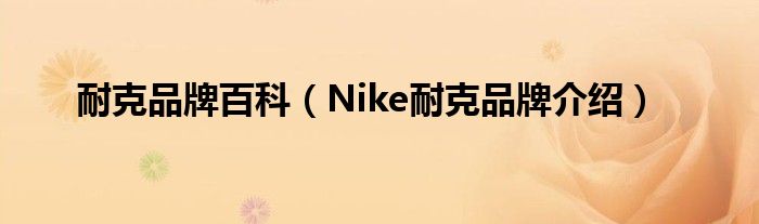 耐克品牌百科（Nike耐克品牌介绍）