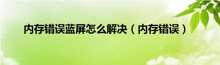 内存错误蓝屏怎么解决（内存错误）