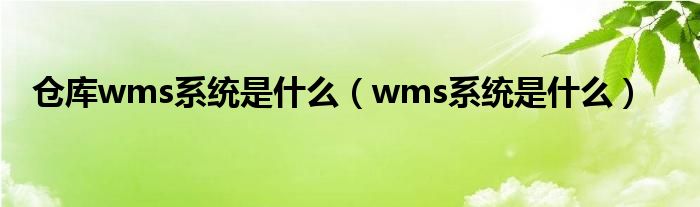 仓库wms系统是什么（wms系统是什么）