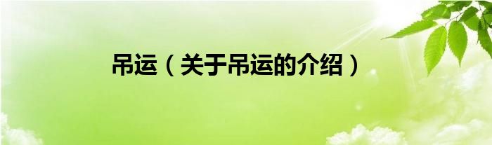 吊运（关于吊运的介绍）