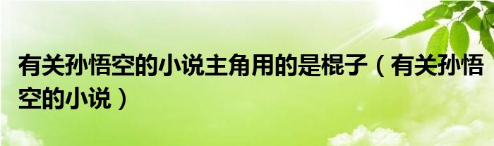有关孙悟空的小说主角用的是棍子（有关孙悟空的小说）