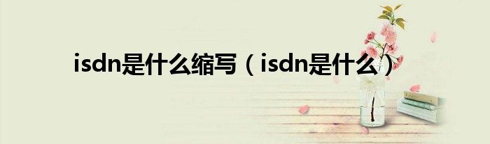 isdn是什么缩写（isdn是什么）