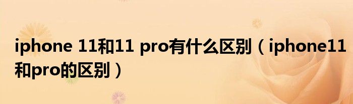 iphone 11和11 pro有什么区别（iphone11和pro的区别）