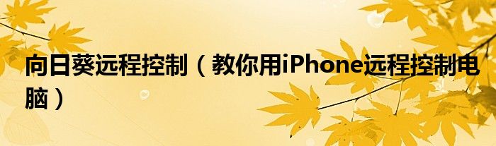 向日葵远程控制（教你用iPhone远程控制电脑）