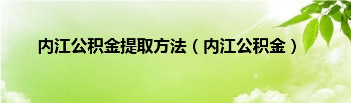 内江公积金提取方法（内江公积金）